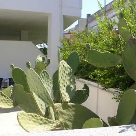 I Pizzicati Bed & Breakfast