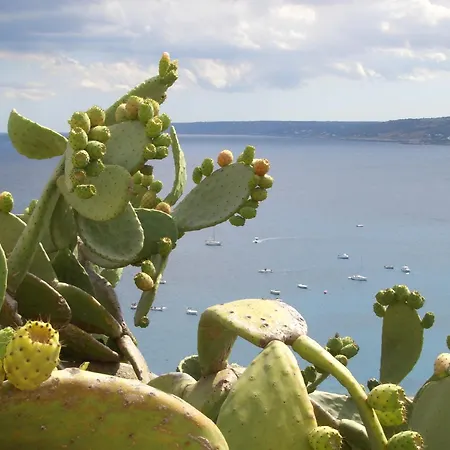 I Pizzicati Bed & Breakfast Uggiano La Chiesa